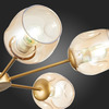 Люстра потолочная Evoluce Pallo SLE155412-06