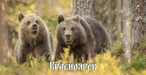 Урал Сувенир - Красноярск кружка керамика 300 мл №0033
