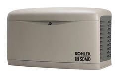 Газовый генератор RESA 14 EC