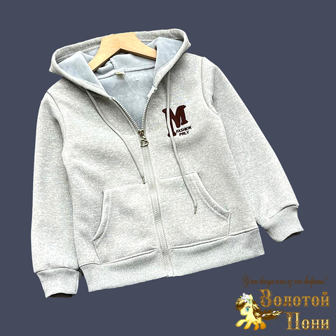 Толстовка на меху д (5-9) 240826-GF1399