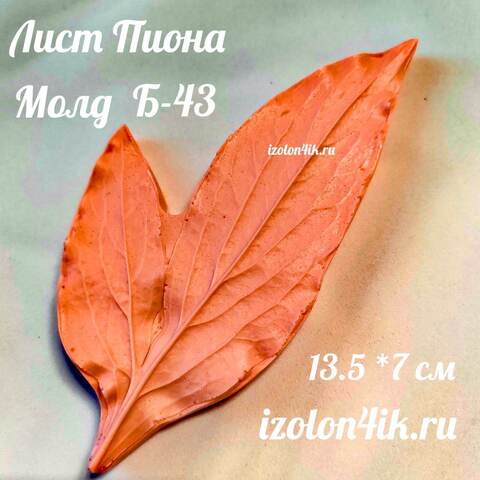 Молд Б-43