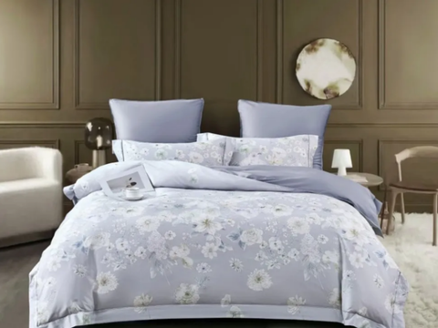 Постельное бельё Asabella 2253-6 египетский хлопок Premium (евро)