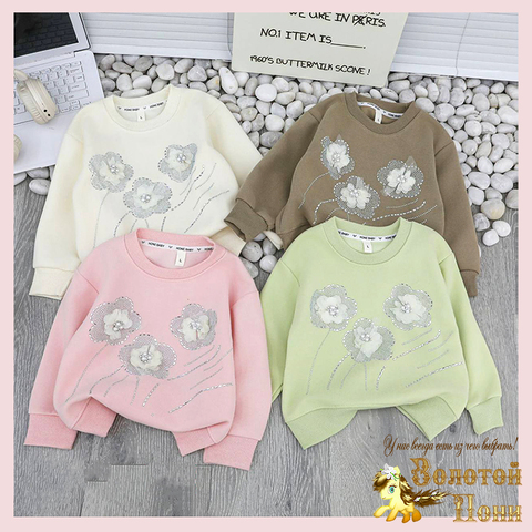 Свитшот трикотаж д (1-5) 260113-Q4089