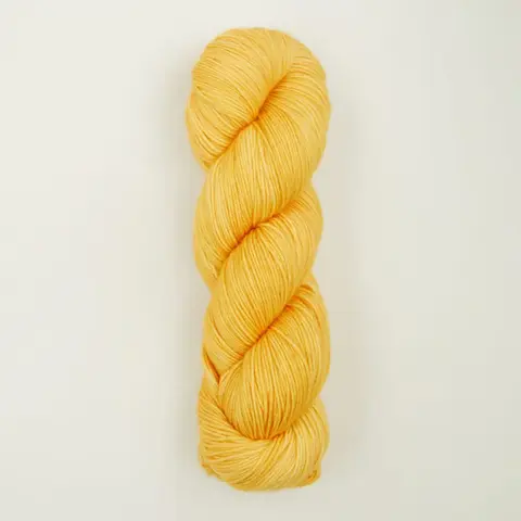 Symfonie Terra SS2022