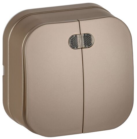 GLORY Выключ. 2-кл. с инд. о/у 10А ВС20-2-1-ХШм шамп. м. IEK