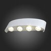 Светильник уличный ST Luce Bisello SL089.501.08