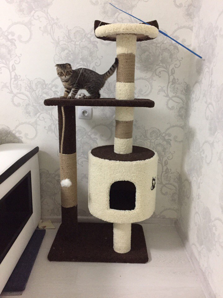 Игровые домики для кошек