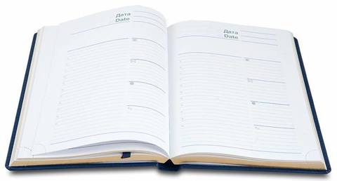 Ежедневник Letts Global Deluxe A5, недатированный, кожа  натуральная, белые страницы, срез позолоченный, черный (22-081449)