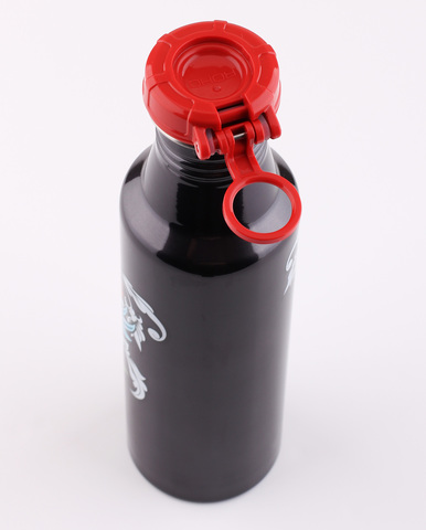 Фляжка из нержавеющей стали THERMOS Roho IS4560TN6, 700 ml