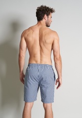 Бермуды мужские в мелкую клетку GOTZBURG 550262/S-3XL