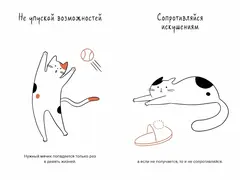 Кот всему голова. Кошачьи мудрости для жизни без стресса