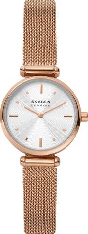 Наручные часы Skagen SKW2955 фото