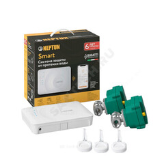 Система защиты от протечек воды латунь Bugatti Smart Tuya 3/4" Ду 20 Ру40 ВР Neptun 2264870