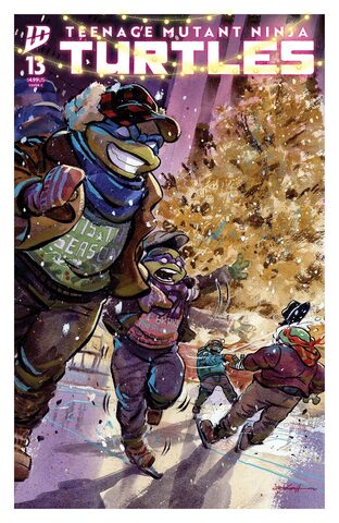 Teenage Mutant Ninja Turtles Vol 6 #13 (Cover C)