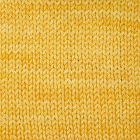 Symfonie Terra SS2022