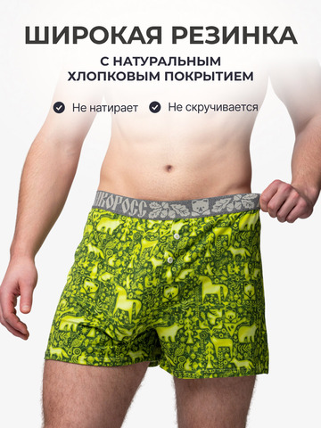 Комплект из 3-х семейных трусов - «Весенний лес»