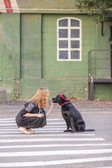 Ксения. Платье женское льняное миди с вышивкой под пояс PL-422621