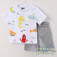 белый/серый