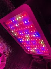 LED 150W Гроубокс В100хД65хШ40