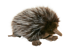 Hansa Мягкая игрушка 