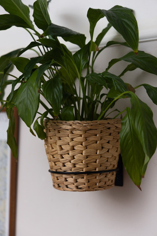 Подставка 1-я Настенная Круг большой D 15,5 см