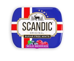 Конфеты Scandic - Лесные ягоды (шоу-бокс 18 шт.)