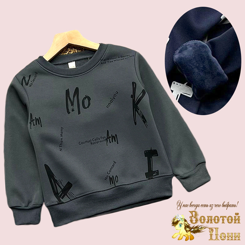 Толстовка на меху м (3-7) 240826-GF1419