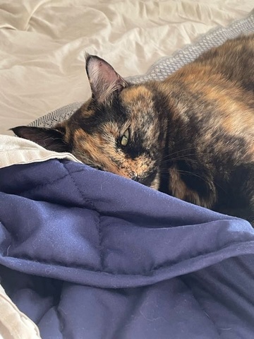 Лаура — Отзыв Утяжеленное одеяло Gravio