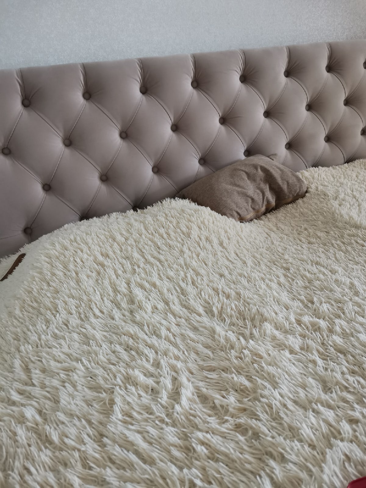 нажмите, чтобы открыть фото на весь экран