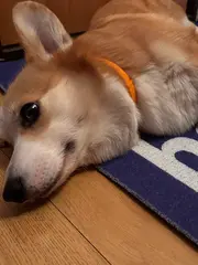 Фото отзыва от Полина Леманова