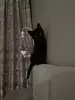 Отзыв о товаре