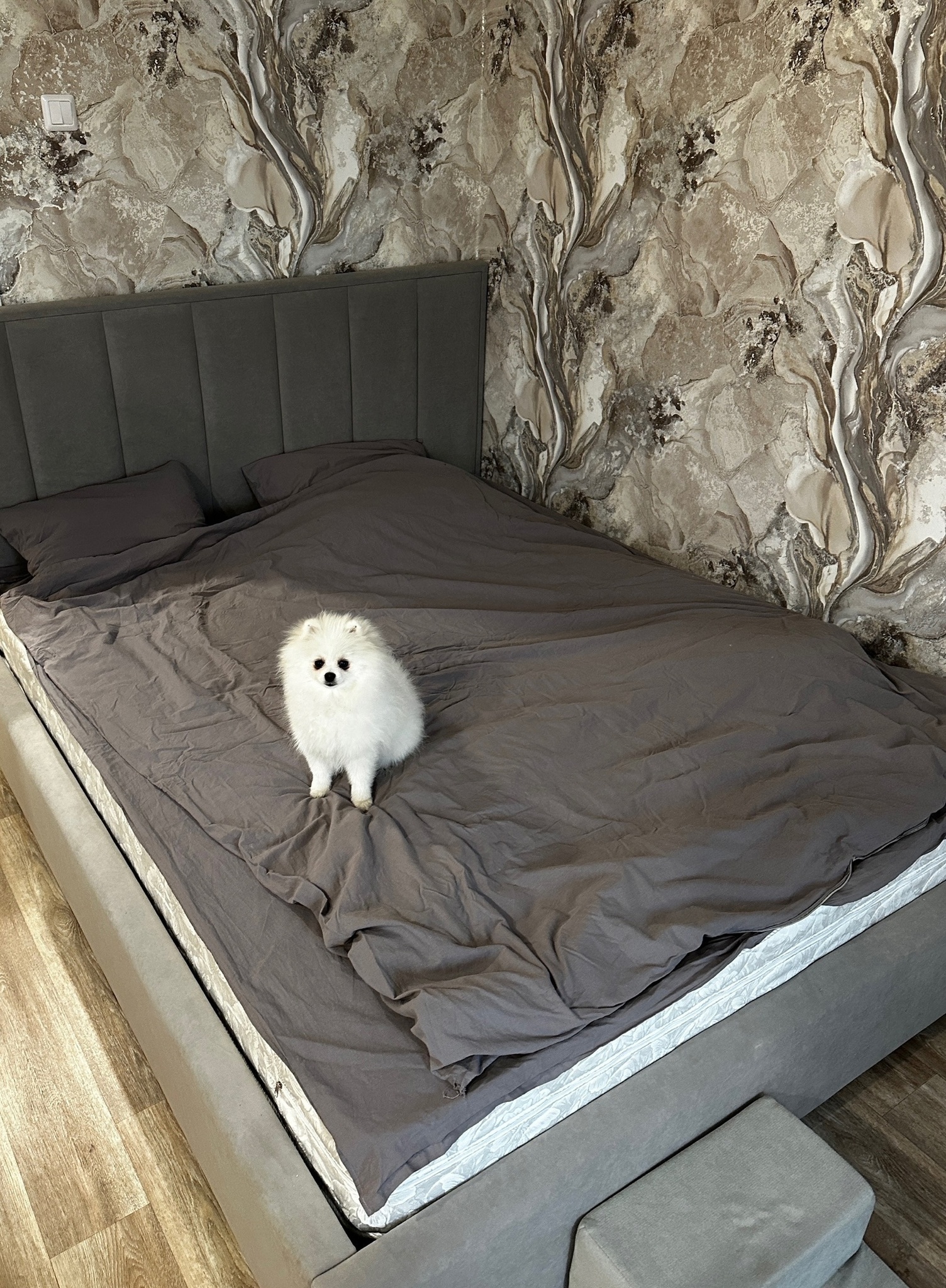 нажмите, чтобы открыть фото на весь экран