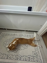 Отзыв о товаре