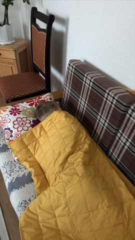 Катерина — Отзыв Утяжеленное одеяло Gravio Kids