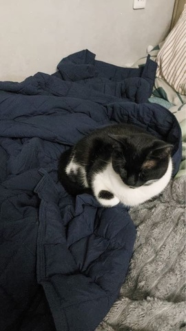 Валерий — Отзыв Утяжеленное одеяло Gravio