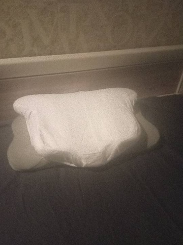 Лязат — Отзыв Подушка Orto+ (с наволочкой)