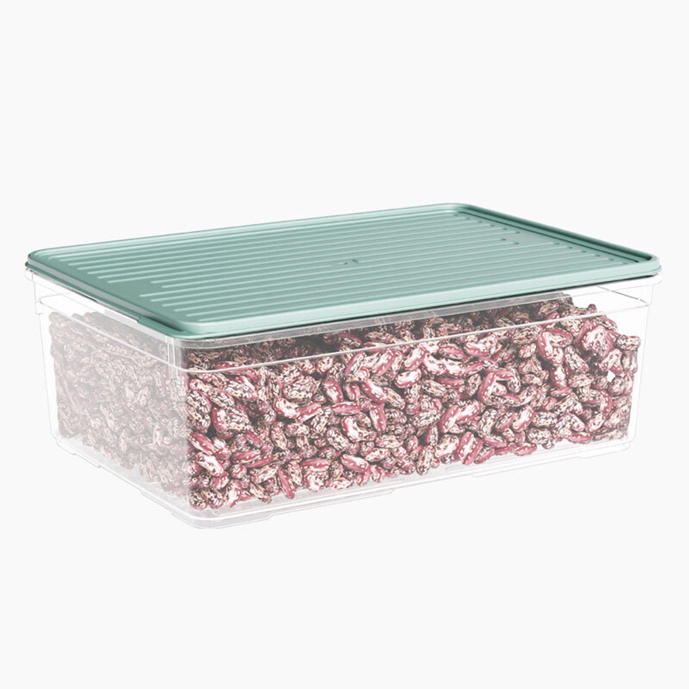 Лоток 4,3л с крышкой, прозрачный, крышка цвет микс