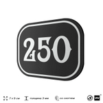Номерок на дверь квартиры 250, для кабинета, офиса, шильдик 9 х 7 см, черный, Айдентика Технолоджи