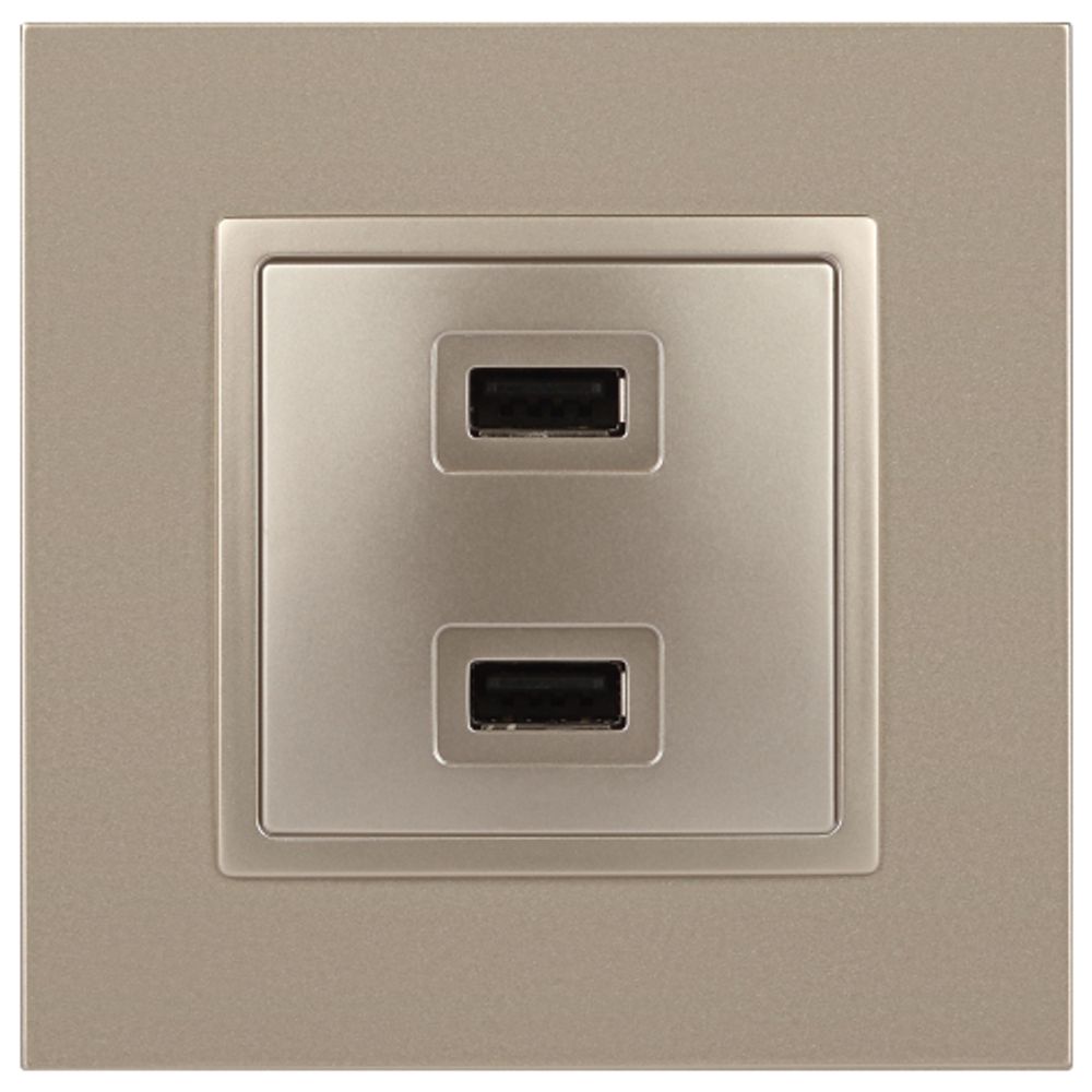 14-4110-04 ЭРА Устройство зарядное USB, 230В/5В-2100мА, IP20, Эра Elegance, шампань