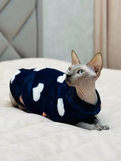 Одежда свитер для сфинксов кошек