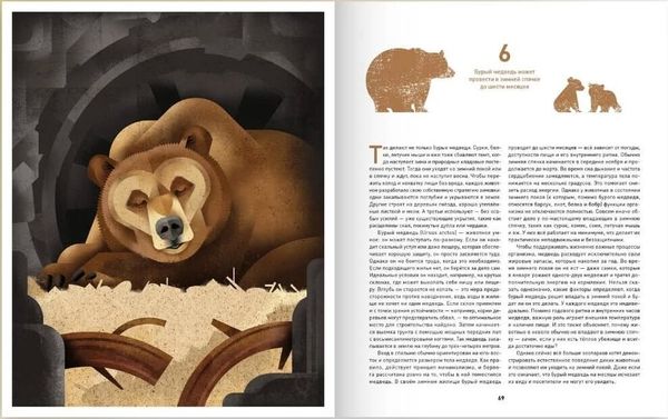 Кто как строит? В гостях у диких животных