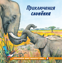 ПМВН. Приключения слоненка, изд.: Фламинго, авт.: Гурина И.В., серия.: Серия "Познаем мир вокруг нас"   Формат: 21х21 см; 16 цв. стр. + обл.