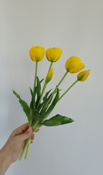 Тюльпаны пионовидные / Арт 2414