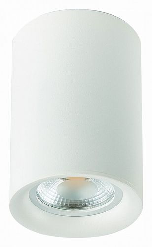 Накладной светильник ST-Luce ST114.507.01