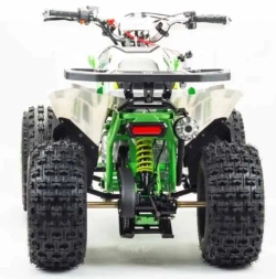 Квадроцикл Motoland 125 COYOTE