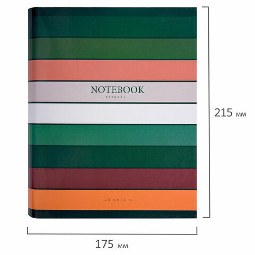 Тетрадь на кольцах А5 175х215 мм, 120 листов, твердый картон, клетка, BRAUBERG, "Classic", 404718