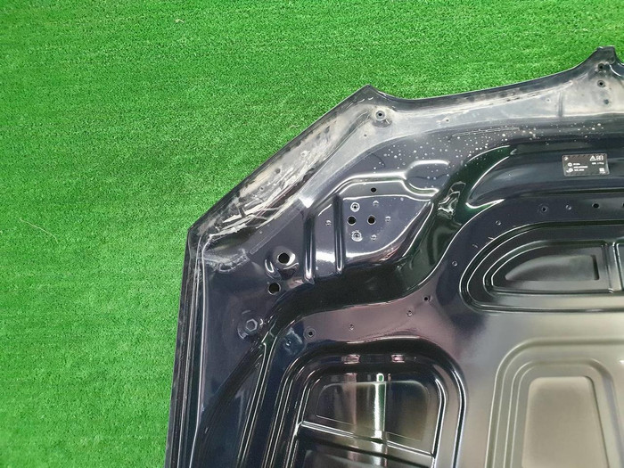 Капот BMW X5 G05 X6 G06 (2018-н.в.)