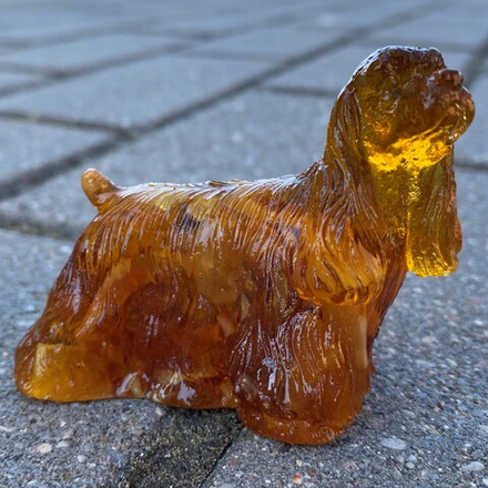 Коккер-Спаниель