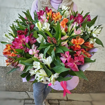 Букет из 21 альстромерии mix