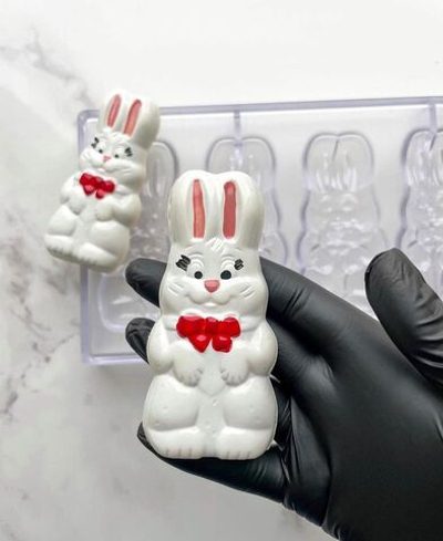 Поликарбонатная форма для шоколада №431